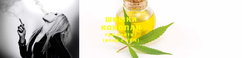 винт Няндома