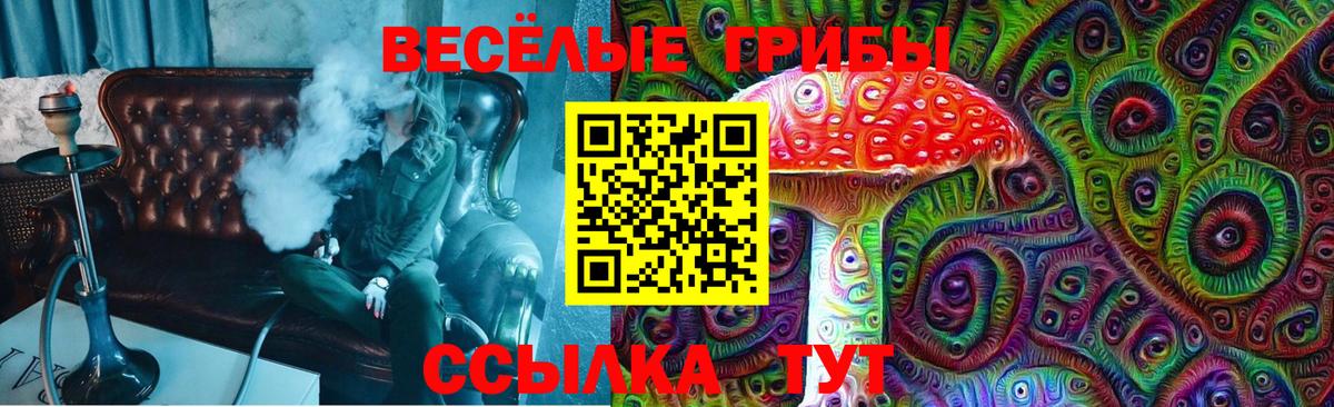 Галлюциногенные грибы GOLDEN TEACHER  Галлюциногенные грибы прущие грибы  Татарск 