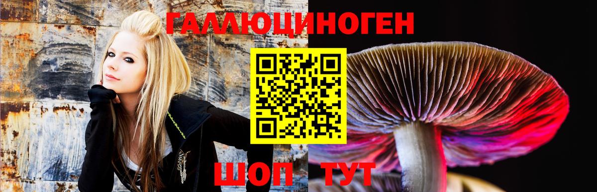 Галлюциногенные грибы MAGIC MUSHROOMS  как найти наркотики  Галлюциногенные грибы MAGIC MUSHROOMS  Татарск  Вход с VPN 